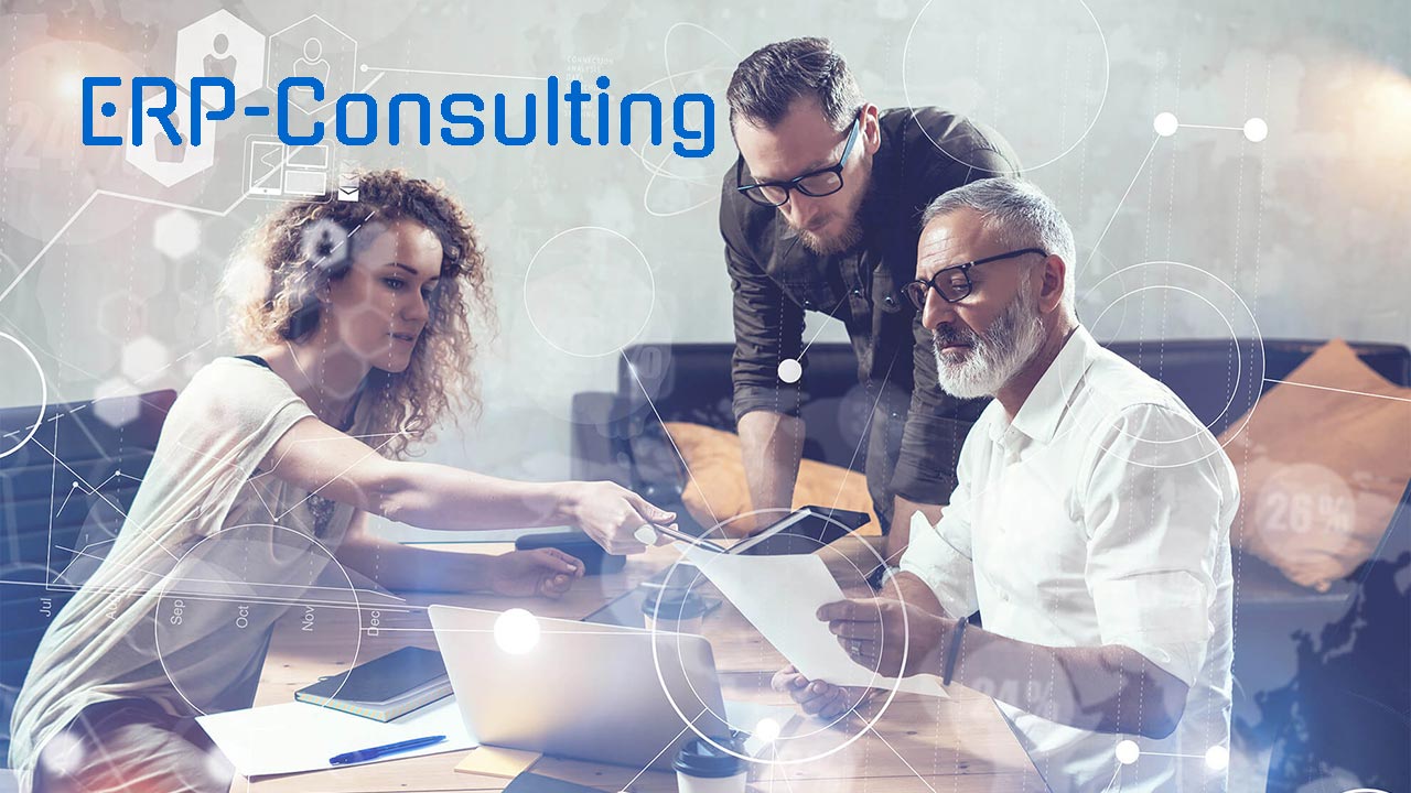 ERP-Consulting - IT-Consulting für ERP-Systeme 